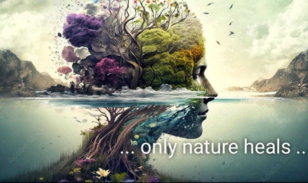 ayurvedic treatment for cancer